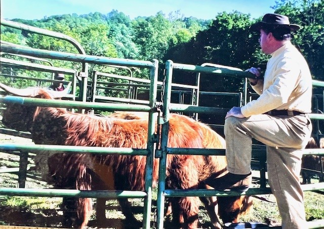 Raising highland cattle on top of the Blue Ridge